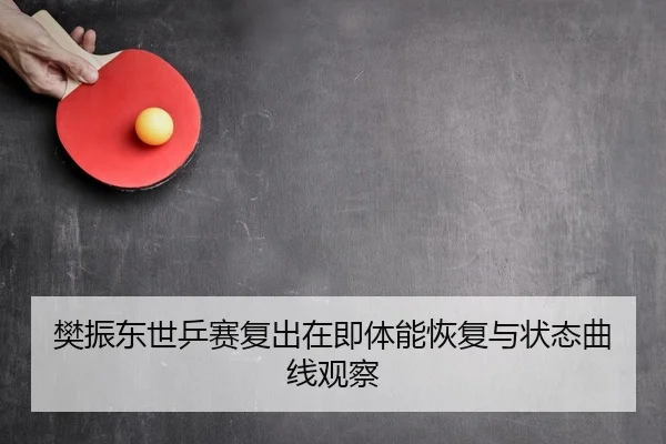 樊振东世乒赛复出在即体能恢复与状态曲线观察
